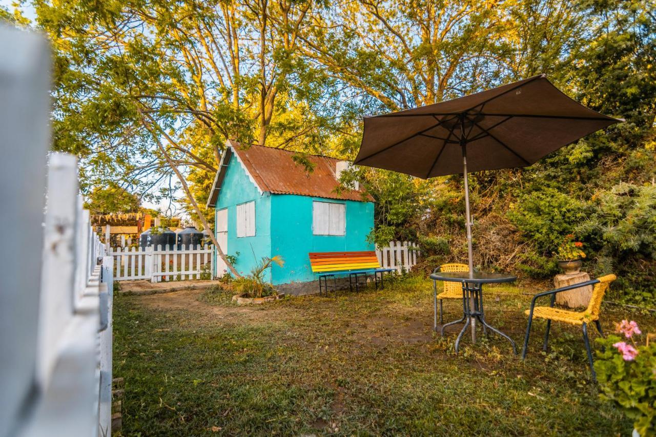 Luchy'S Country House Hostel Ica Bagian luar foto