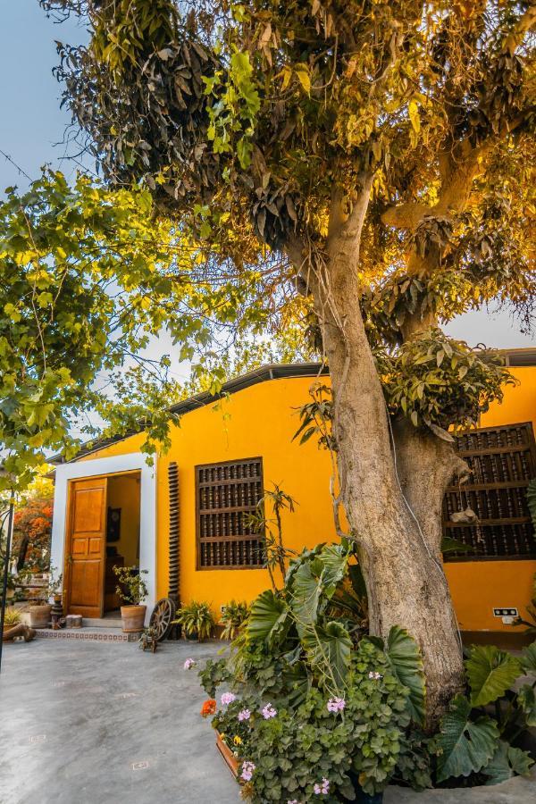 Luchy'S Country House Hostel Ica Bagian luar foto
