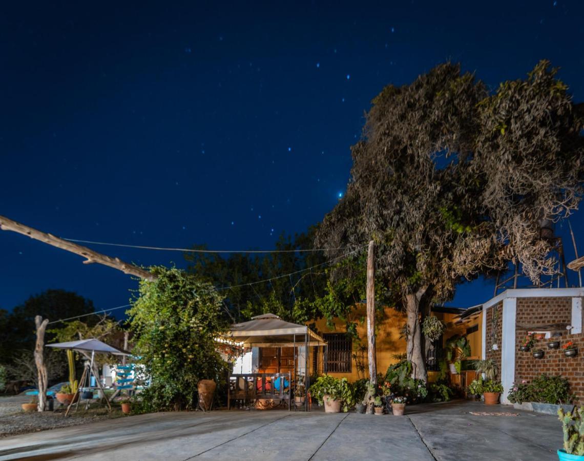 Luchy'S Country House Hostel Ica Bagian luar foto