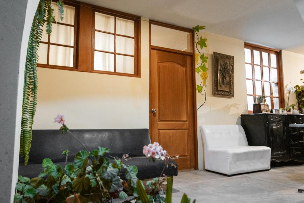 Luchy'S Country House Hostel Ica Bagian luar foto