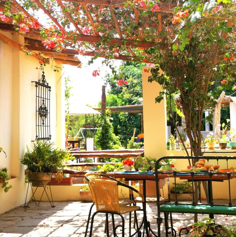 Luchy'S Country House Hostel Ica Bagian luar foto