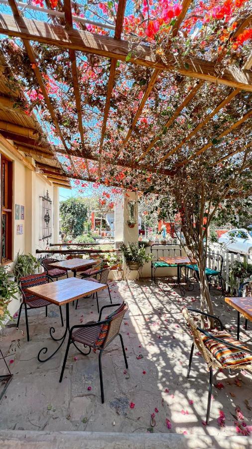 Luchy'S Country House Hostel Ica Bagian luar foto