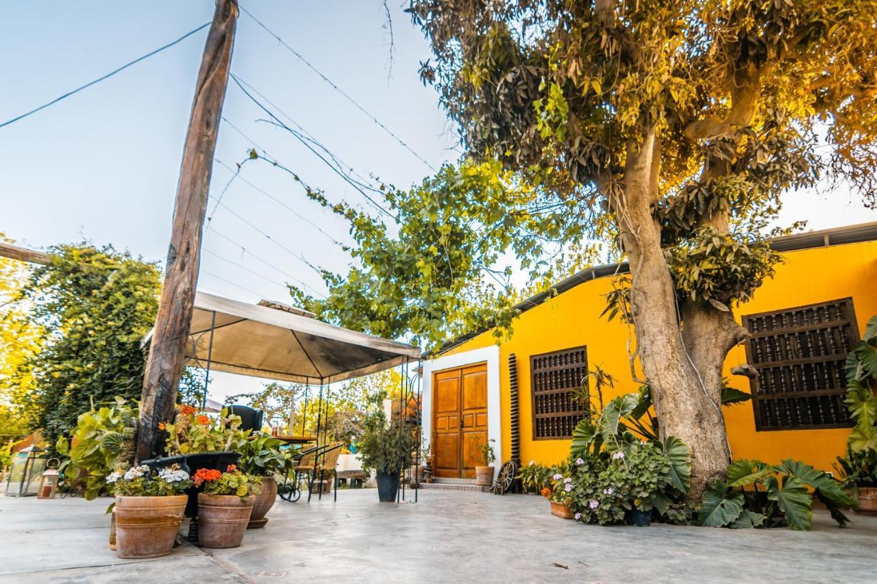 Luchy'S Country House Hostel Ica Bagian luar foto